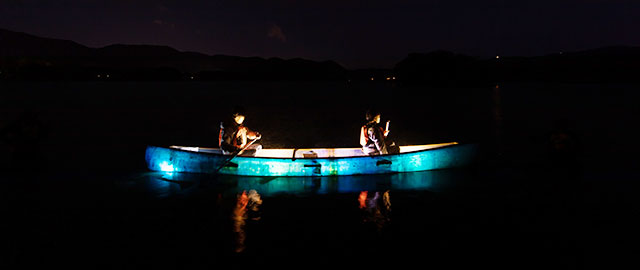 Lake Terrace Night Canoe
