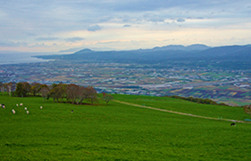 Shirotai Ranch Observation Deck