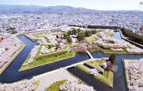 Goryokaku Tower