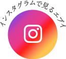 インスタグラムで見るエプイの魅力