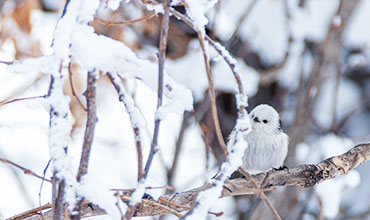 エプイのお愉しみイメージ