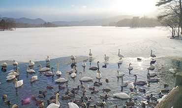 エプイのお愉しみイメージ