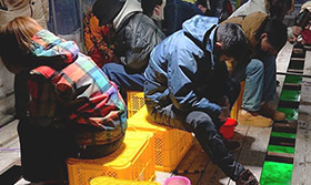 エプイのお愉しみイメージ