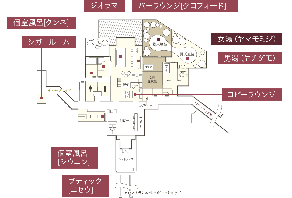 女湯 ヤマモミジ