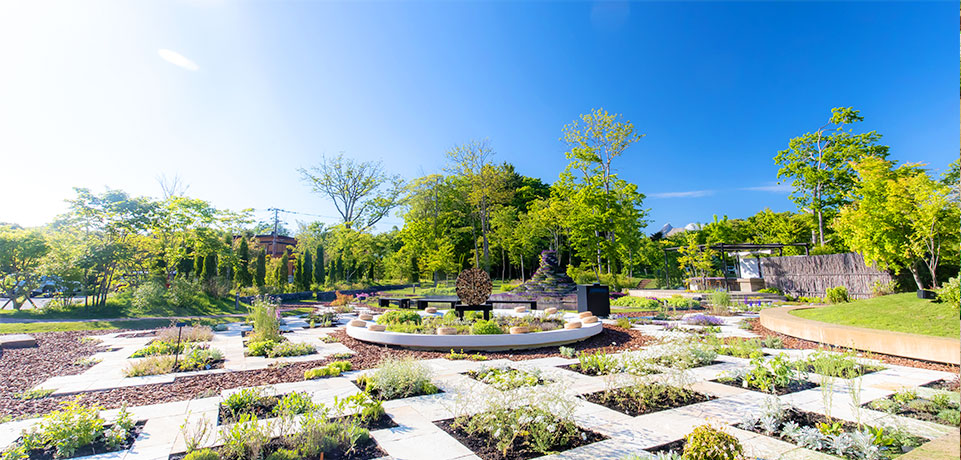 自然の中の植物図鑑