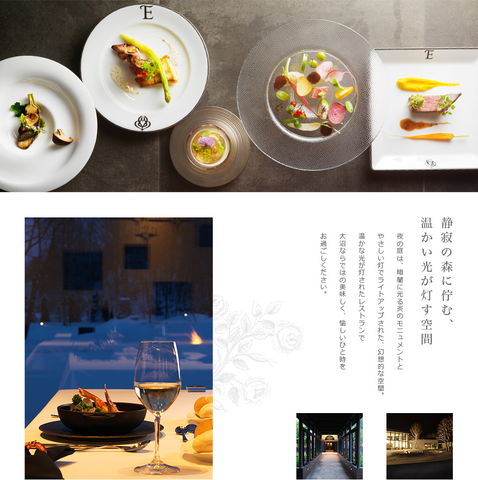 静寂の森に佇む、温かい光が灯す空間