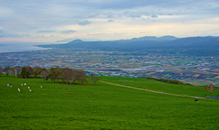 城岱牧場展望台